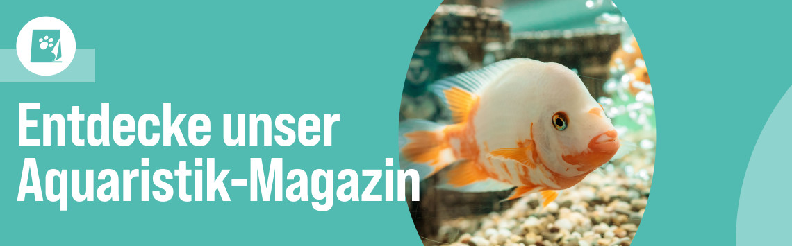 ZooRoyal Magazin